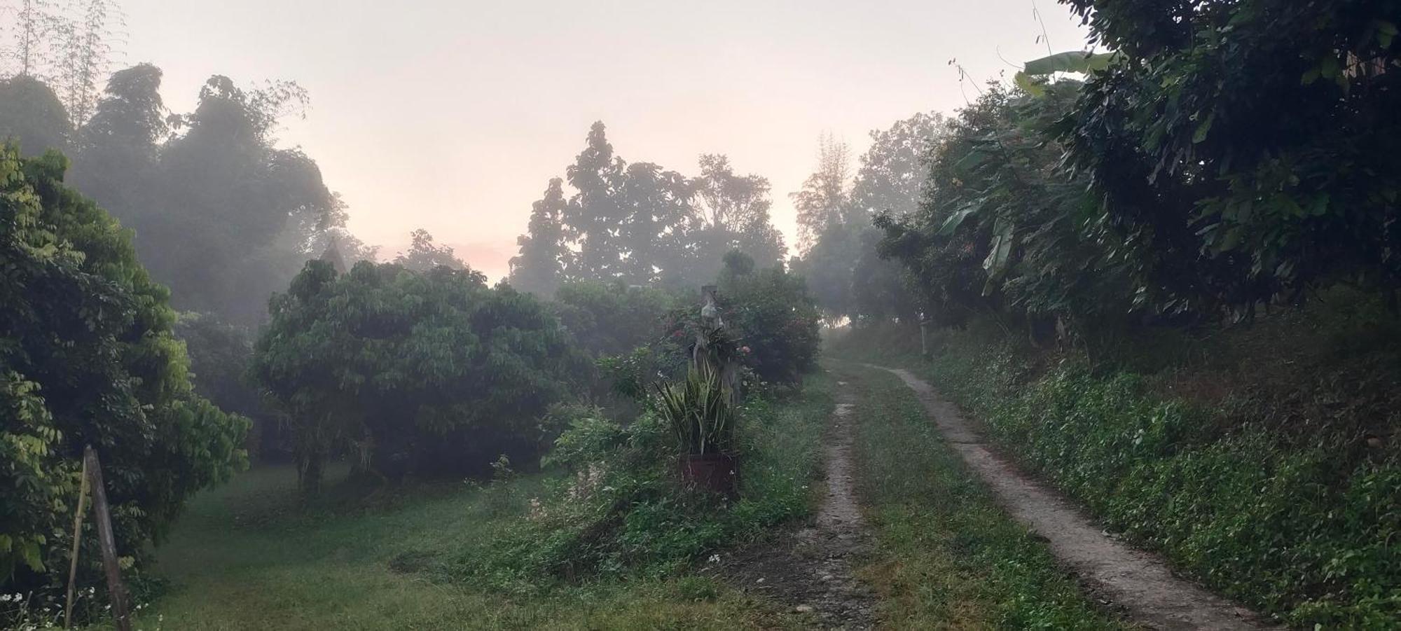 Baan 2 Dao Farmstay 치앙다오 외부 사진