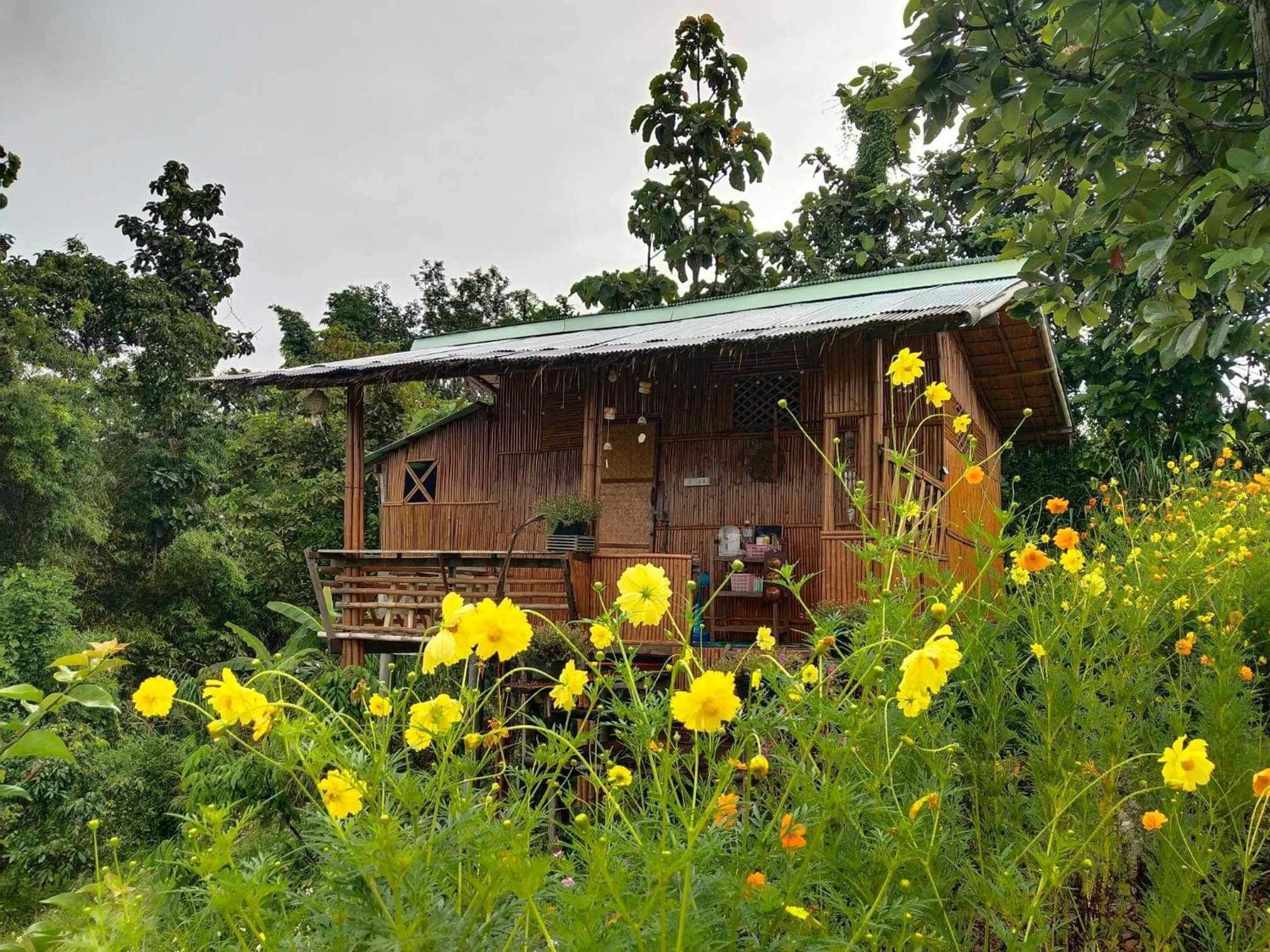Baan 2 Dao Farmstay 치앙다오 외부 사진