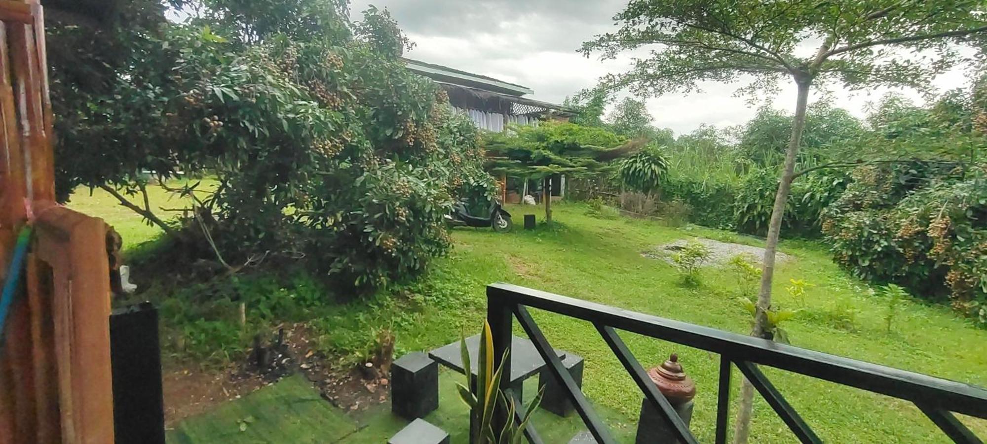 Baan 2 Dao Farmstay 치앙다오 외부 사진
